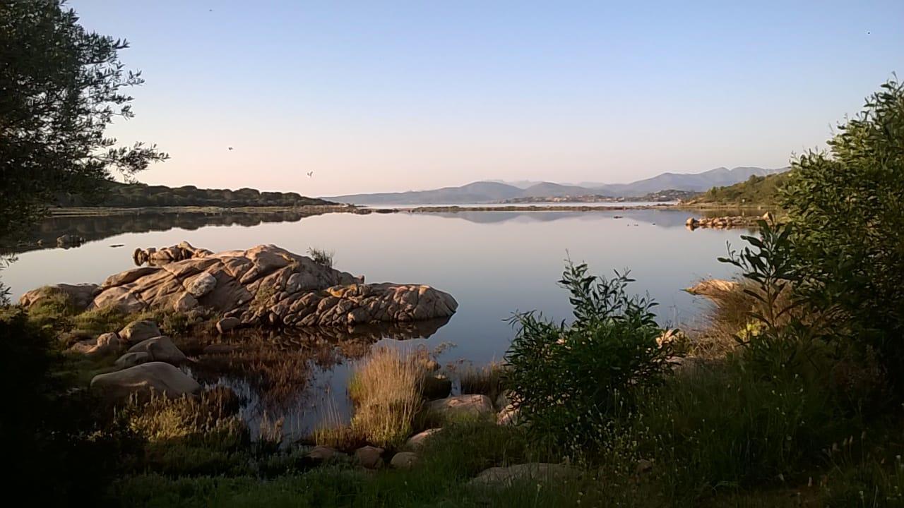 Residence Porto Coda Cavallo San Teodoro  Buitenkant foto